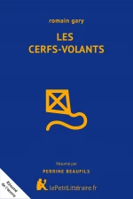 Les Cerfs-volants de Romain Gary (Analyse de l'œuvre): Analyse complète et  résumé détaillé de l'oeuvre (Fiche de lecture) (French Edition)