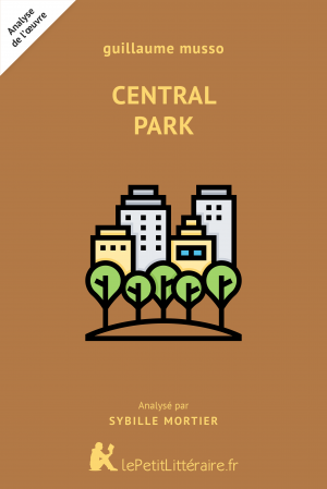 Central Park de Guillaume Musso (Analyse de l'oeuvre) : Analyse