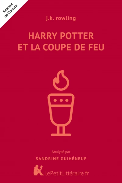 Harry Potter et la Coupe de feu (TF1) : pourquoi des personnages