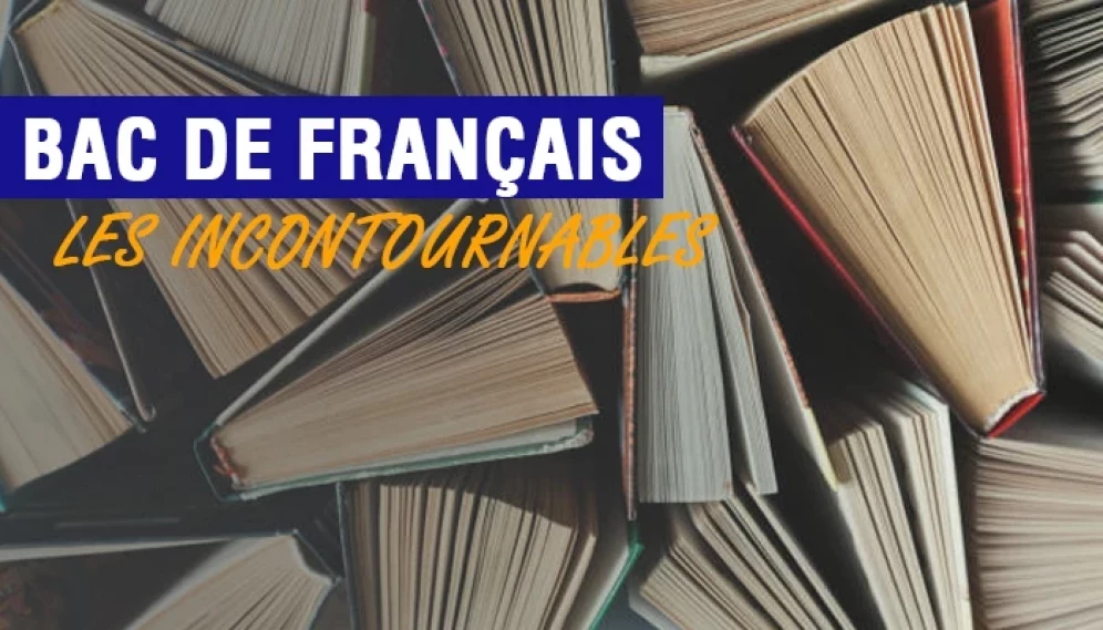 Réussir son Bac de français 2024 : Analyse du Cahier d'un retour au pays  natal d